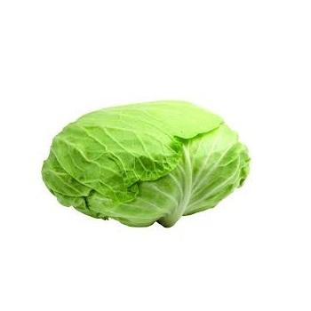 korean-cabbage