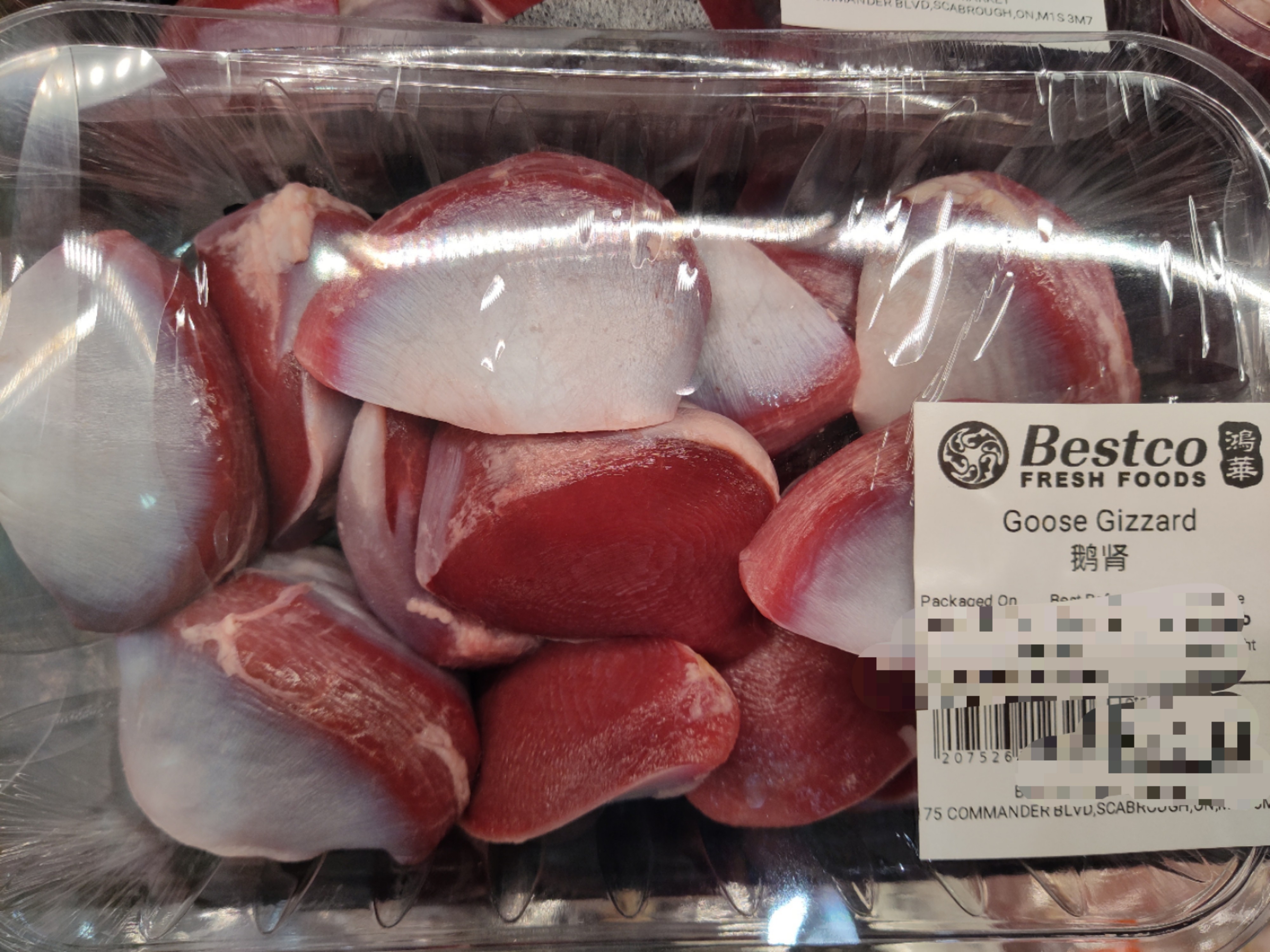 goose-gizzard