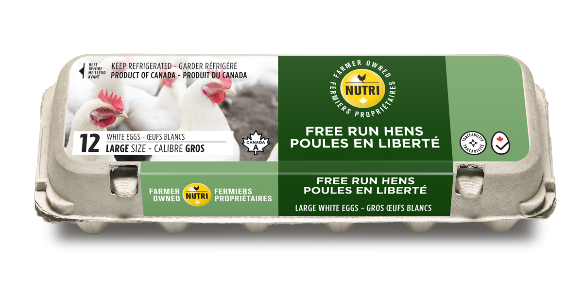 free-range-hens-large-white-eggs