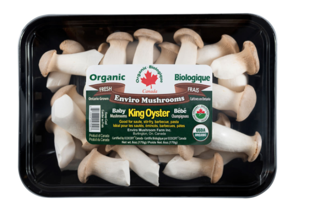 organic-mini-king-oyster-mushroom-pack