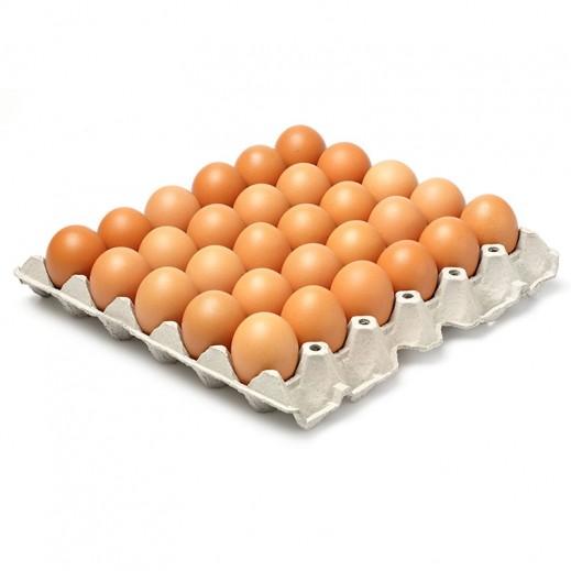 brown-eggs