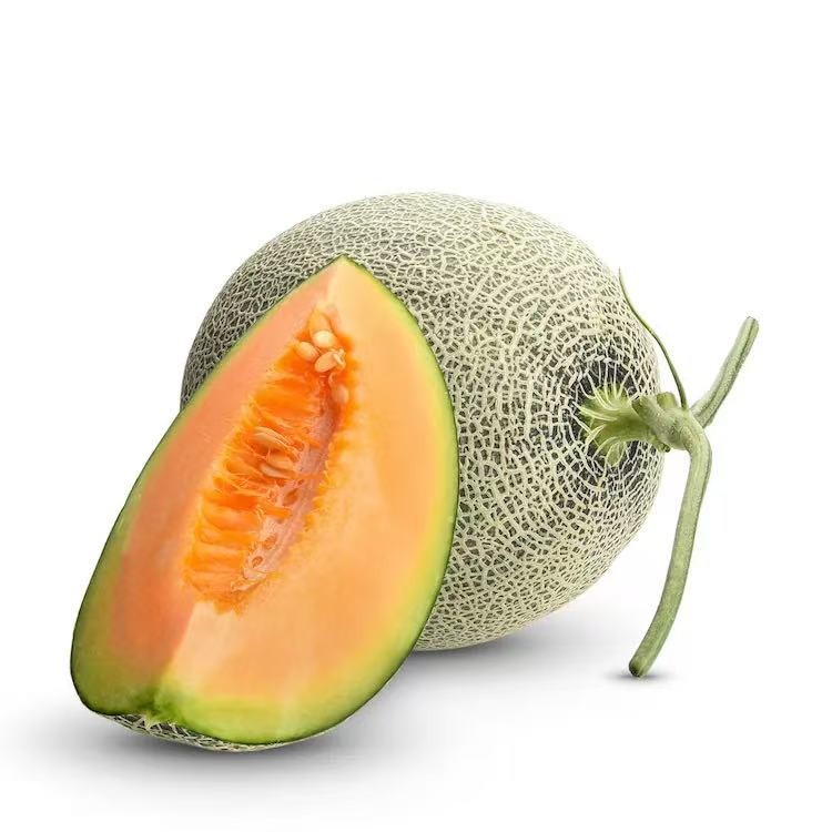 camelia-melon