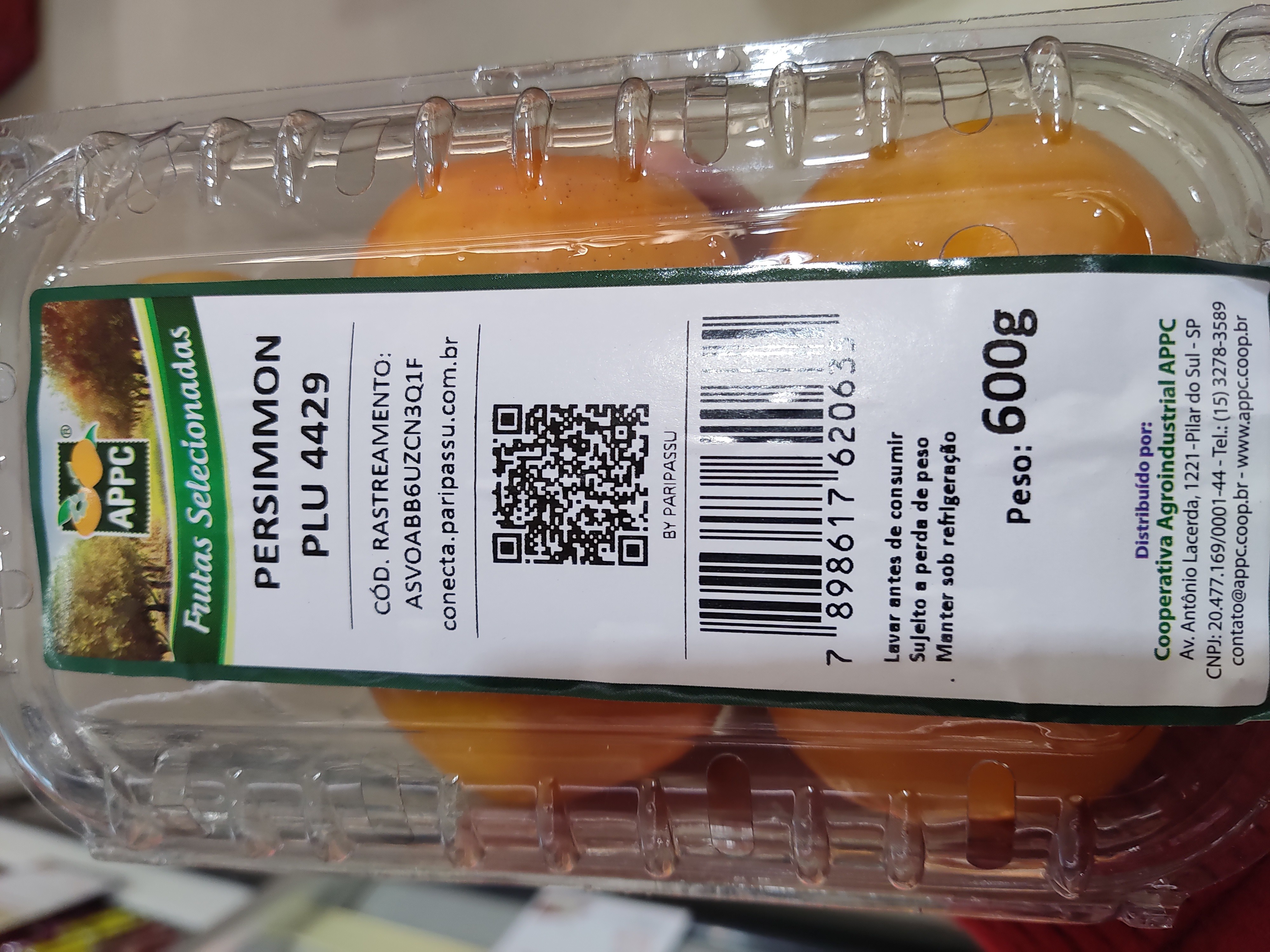 appc-persimmon