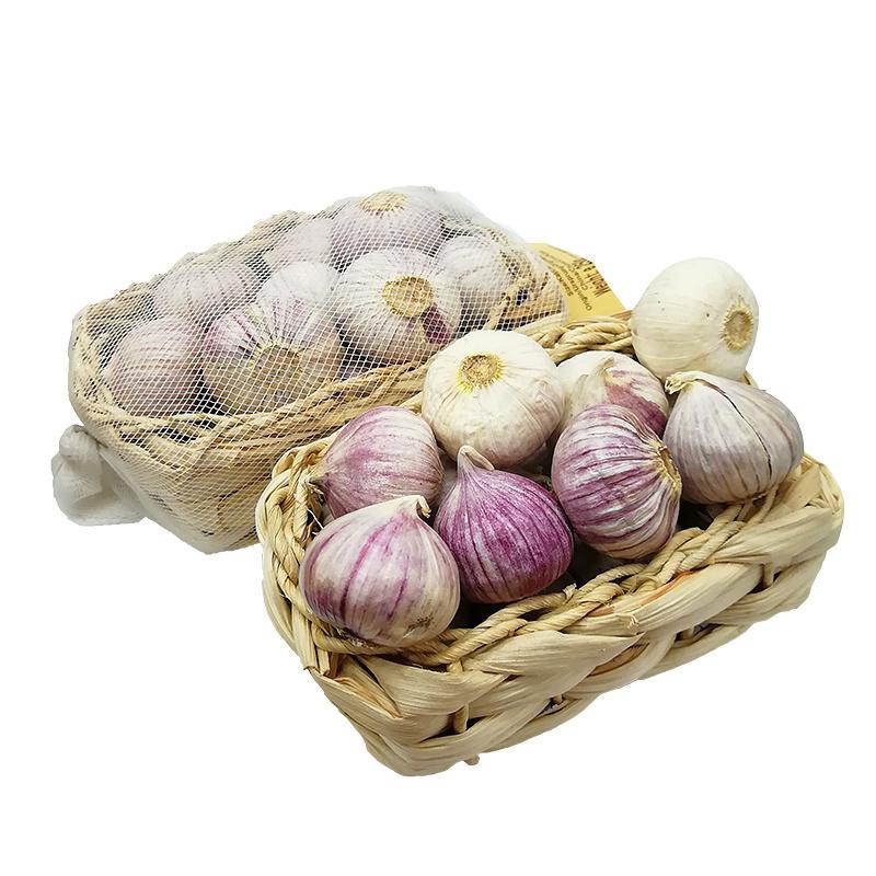 purple-garlics