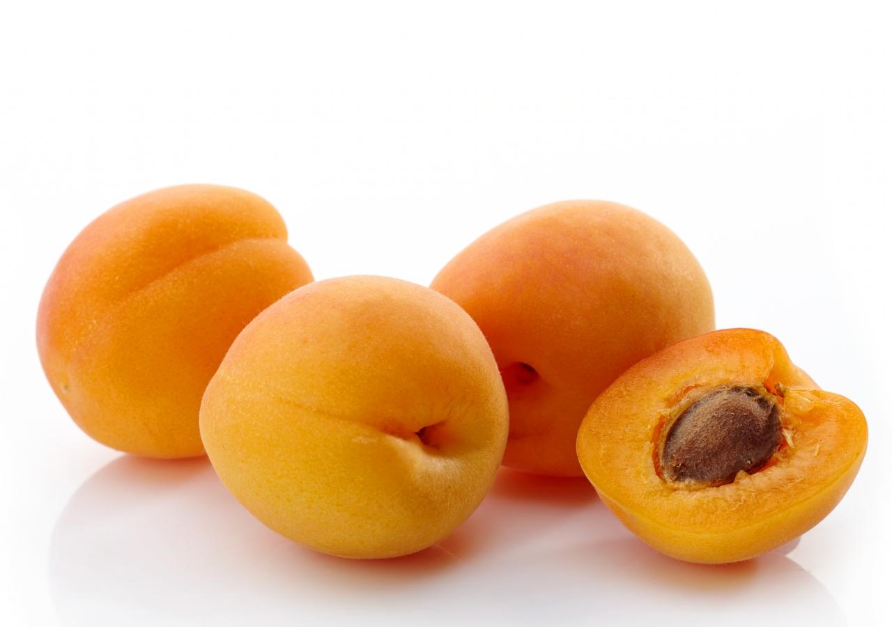 fresh-monstercot-apricot