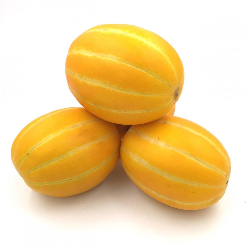 korean-golden-melon-2pcs