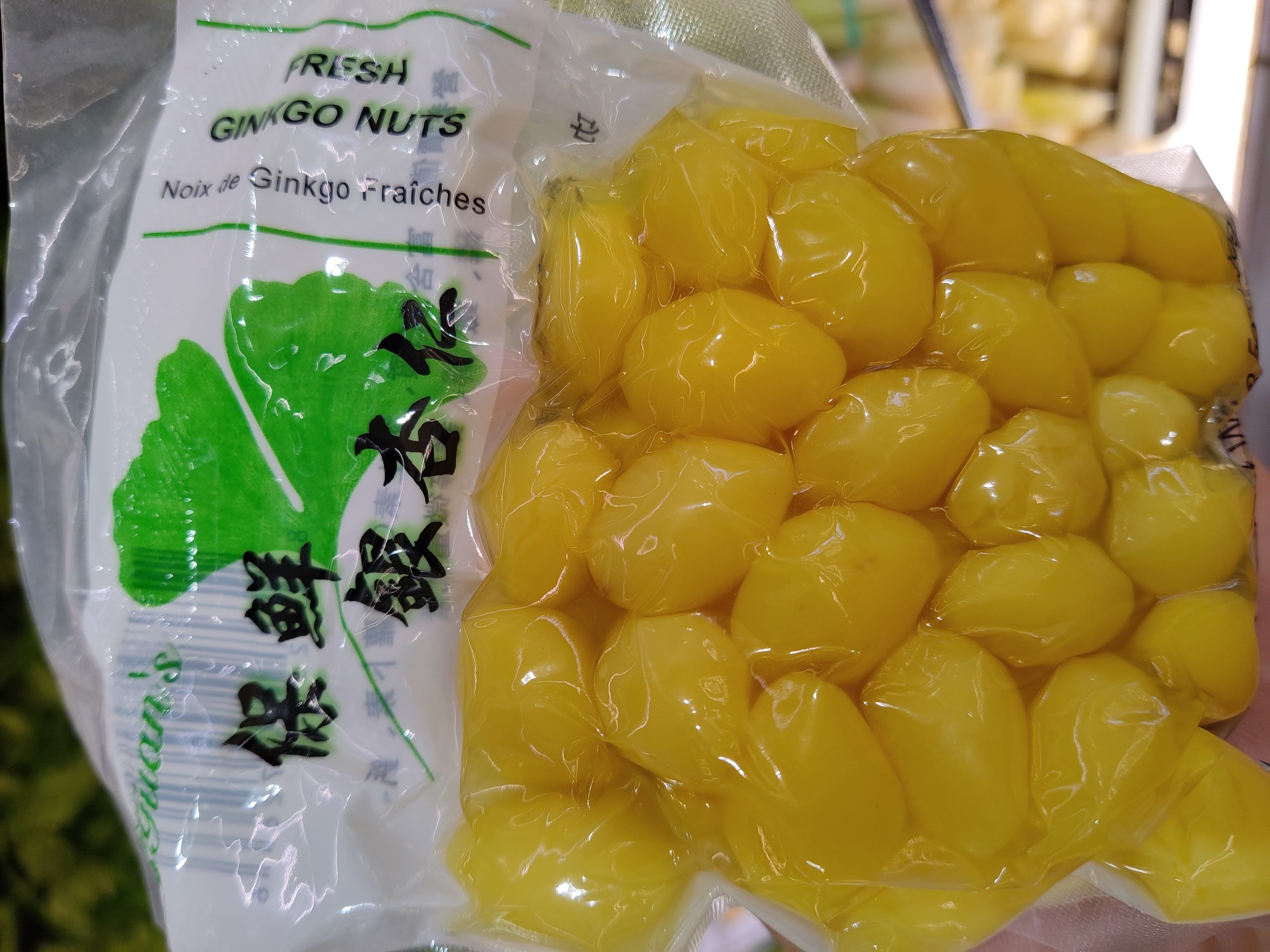 fresh-ginkgo-nuts