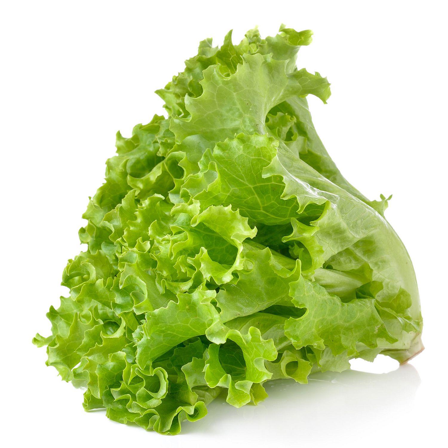 green-leaf-lettuce-2-counts