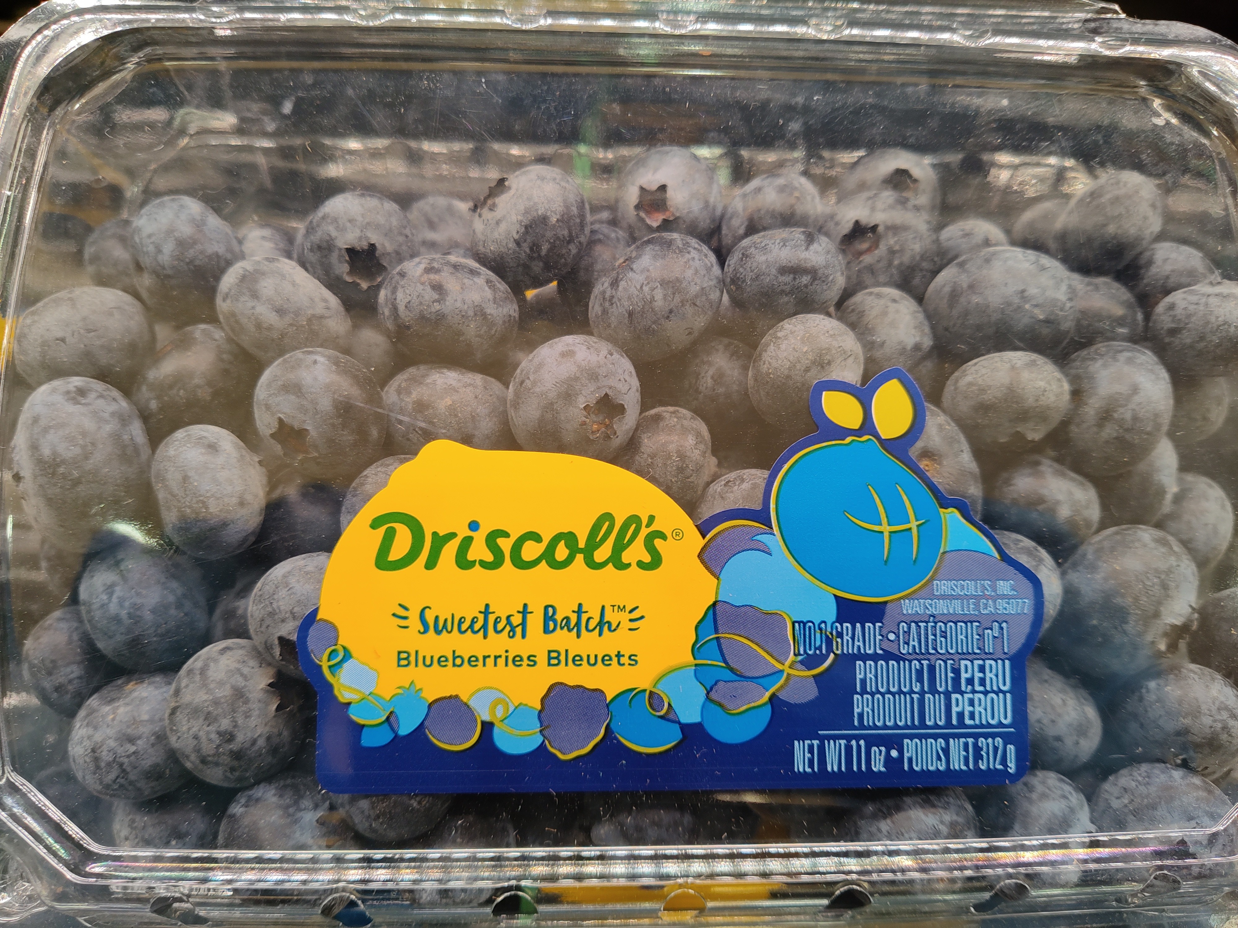 driscolls-sweetest-blueberry